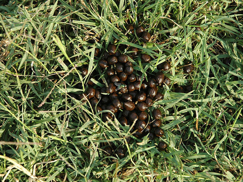 為什么要檢測肥料中的水分？