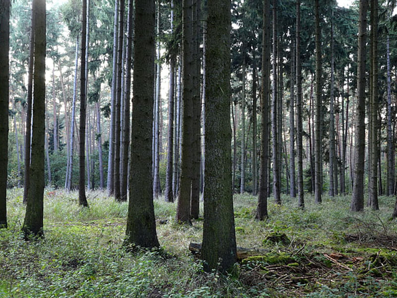 負(fù)氧離子監(jiān)測系統(tǒng)可實(shí)時(shí)監(jiān)控空氣質(zhì)量