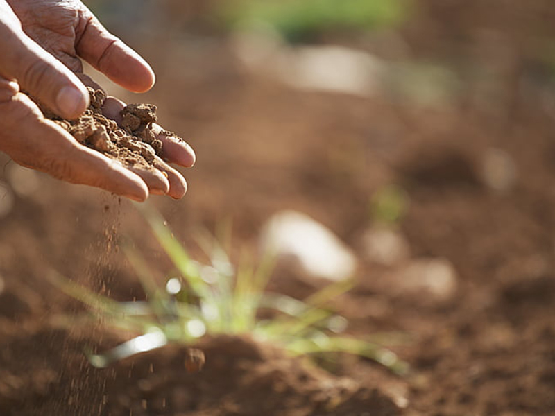 如何檢測(cè)土壤重金屬是否超標(biāo)？
