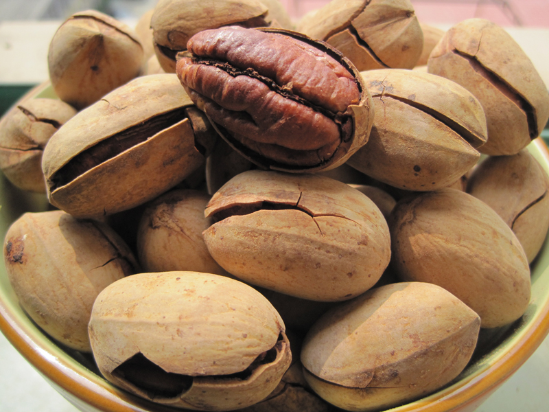 碧根果苗種植，怎樣的土壤*合適