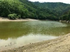 水產(chǎn)養(yǎng)殖檢測儀，為水源保護(hù)提供精準(zhǔn)數(shù)據(jù)